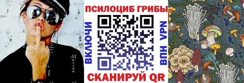 хочу   Светогорск  Галлюциногенные грибы мицелий 